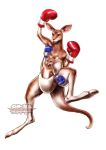  boxing_gloves fighting_stance kangaroo kotobukiya mother_and_son no_humans official_art raised_fist roger&#039;s_wife_(tekken) roger_jr. tail tekken tekken_tag_tournament_2 watermark yamashita_shun&#039;ya 