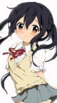  1girl absurdres black_hair brown_eyes highres hitode k-on! long_hair nakano_azusa school_uniform sweater_vest twintails 