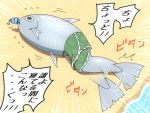  blue_hair drill_hair fish flapping japanese_clothes kimono mermaid monster_girl no_humans obi sash shirosato solo touhou translation_request wakasagihime 