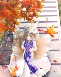  1girl akichiasu autumn autumn_leaves blonde_hair dress fox_tail frills from_above hat headwear highres leaf looking_at_viewer looking_up maple_leaf multiple_tails pillow_hat solo stairs tabard tail tassel touhou white_dress yakumo_ran yellow_eyes 
