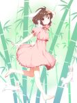  1girl animal animal_ears arm_up bamboo bamboo_forest barefoot blush brown_hair bunny_tail carrot dress forest full_body highres inaba_tewi jewelry looking_at_viewer nature necklace nekoze pink_dress puffy_sleeves rabbit rabbit_ears red_eyes short_hair short_sleeves smile solo tail touhou 