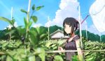 1girl black_eyes black_hair blurry butterfly_net clouds depth_of_field domo1220 dress forest garden hair_bobbles hair_ornament hand_net house looking_at_viewer nature original short_hair sky solo twintails 