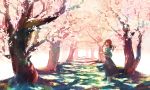  1girl barefoot cherry_blossoms cherry_trees dress forest grass highres long_hair nature nora_(kukumaka23) redhead sweater_jacket wavy_hair 