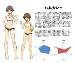  2girls bikini brown_eyes brown_hair cassandra_(seishun_katsu_sando) clenched_hand commentary_request green_eyes hiei_(kantai_collection) kantai_collection multiple_girls short_hair side-tie_bikini stats swimsuit translation_request volleyball yukikaze_(kantai_collection) 