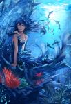  1girl blue_hair coral dolphin highres long_hair love_live!_school_idol_project mermaid monster_girl solo sonoda_umi underwater yomi_yasou 