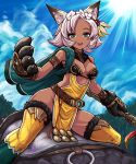  1girl animal_ears blue_eyes blush breasts cat_ears cleavage dark_skin flower gloves granblue_fantasy hair_flower hair_ornament hoshitetsu_ringo looking_at_viewer meruu_(granblue_fantasy) open_mouth paw_gloves paws short_hair silver_hair smile thigh-highs 