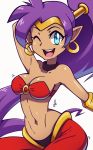  arabian_clothes belly_dancing blue_eyes breasts cleavage collar dark_skin earrings jewelry midriff one_eye_closed open_mouth pointy_ears ponytail purple_hair scott_bennett shantae shantae_(character) signature smile upper_body 