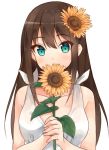  1girl blush brown_hair flower green_eyes hair_flower hair_ornament idolmaster idolmaster_cinderella_girls long_hair looking_at_viewer shibuya_rin shuuichi solo sunflower 