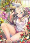  1girl arm_up bangs bare_legs barefoot blonde_hair blue_eyes bra butterfly chair flower front-tie_top lips long_hair panties parted_bangs qurare_magic_library red_bra red_panties rocking_chair rose see-through shirt sitting solo sunlight t-shirt underwear xxinainaxx 