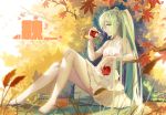  1girl apple aqua_eyes aqua_hair autumn_leaves baisi_shaonian bare_arms barefoot bent_knees dress english food fruit grass hair_ribbon hatsune_miku highres holding leaf legs long_hair looking_at_viewer outdoors ribbon scenery side_glance sitting smile solo sundress tree_branch vocaloid 