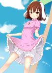  1girl animal_ears bloomers blush brown_eyes brown_hair carrot_necklace dress dress_lift hazao_(luckytewi) highres inaba_tewi jewelry necklace puffy_short_sleeves puffy_sleeves rabbit_ears short_hair short_sleeves simple_background sky solo touhou underwear 