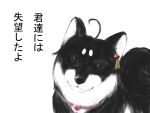  1girl ahoge animal_ears animalization commentary_request dog dog_ears dog_tail furry gomasamune hair_ornament heart-shaped_lock kantai_collection shigure_(kantai_collection) sketch smile solo tail translation_request 
