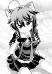  1girl ahoge animal_ears braid cat_ears cat_tail collarbone fingerless_gloves gloves hair_flaps hair_ornament hair_ribbon highres kantai_collection looking_at_viewer monochrome necktie pleated_skirt remodel_(kantai_collection) ribbon school_uniform serafuku shigure_(kantai_collection) single_braid sitting skirt solo sweatdrop tail tenshin_amaguri_(inobeeto) 