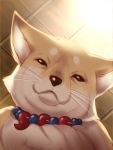 black_eyes face fox from_below jewelry looking_at_viewer looking_down magatama nakigitsune&#039;s_fox necklace nipponia_nippon no_humans touken_ranbu whiskers 