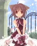  brown_eyes brown_hair dress fence flat_chest loli nekomimi pettanko ribbon roses short_hair 