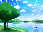  cirno etogami_kazuya grass highres hong_meiling multiple_girls nature reflection scenery sky touhou wallpaper water 