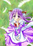  blush bow cat_ears happiness! long_hair maid nekomimi purple_eyes purple_hair trap uniform violet_eyes watarase_jun 