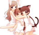  animal_ears bare_feet barefoot bear_ears blue_eyes bow braid brown_eyes brown_hair bunny_ears bunnygirl cat_ears chemise dress feet flat_chest fukuzawa_yumi girl_sandwich group hug loli long_hair maria-sama_ga_miteru mousegirl multiple_girls nekomimi nezumimimi shimazu_yoshino short_hair tail toudou_shimako twintails usagimimi 