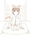  1girl animal_ears barefoot cat_ears cat_tail monochrome original shorts sketch solo tail traditional_media yoshitomi_akihito 