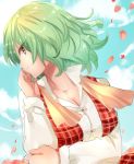  1girl blush breast_hold breasts cleavage clouds cloudy_sky collarbone green_hair kazami_yuuka large_breasts looking_at_viewer nagare petals plaid plaid_vest profile red_eyes shirt short_hair sky smile solo touhou upper_body white_shirt 