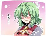  1girl ascot blush breasts commentary_request green_hair kazami_yuuka large_breasts looking_at_viewer red_eyes shirt shy solo touhou tsuki_wani upper_body vest 
