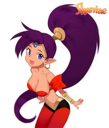  1girl bandeau bare_shoulders blue_eyes breasts chagoon cleavage dark_skin detached_sleeves earrings harem_pants hoop_earrings jewelry large_breasts long_hair midriff navel pants pointy_ears ponytail purple_hair shantae shantae_(character) smile solo tiara vambraces very_long_hair 