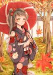  1girl brown_hair highres japanese_clothes kimono leaf lilylion26 love_live!_school_idol_project maple_leaf minami_kotori side_ponytail solo umbrella 