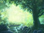  aoha_(twintail) forest green nature no_humans original rock stream sunlight tree water 