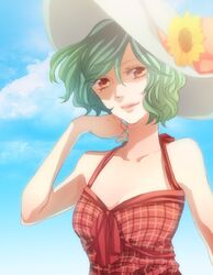  bare_shoulders bust dress flower green_hair hat hat_flower kazami_yuuka lips multicolored_eyes munya munya_(pixiv434886) plaid_dress red_eyes short_hair sky smile solo sun_hat sundress touhou 