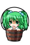  bucket chibi green_eyes green_hair highres in_bucket in_container kisume nurumayuonsen touhou 