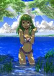  bikini breasts cleavage frog green_eyes green_hair hair_ornament kochiya_sanae short_hair snake solo swimsuit touhou water yunsuku 