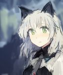  1girl :o animal_ears blush cat_ears green_eyes grey_necktie hashigo long_hair military military_uniform necktie older open_mouth sanya_v_litvyak silver_hair solo strike_witches uniform upper_body 