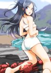  1girl black_hair blue_eyes crab highres kantai_collection katsuragi_(kantai_collection) long_hair looking_back ponytail shinryou_rei solo 
