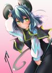  1girl akure_ekuto animal_ears blush capelet cover cover_page grey_hair mouse_ears mouse_tail nazrin pendulum rod solo tail touhou yellow_eyes 