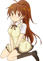  1girl apron brown_eyes brown_hair highres kasumi_(kasumi_r14) kneeling long_hair ponytail taneshima_popura waitress working!! 