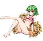  1girl adapted_costume alternate_costume arm_support armband bikini bikini_skirt breasts crossed_legs feet flower green_hair hand_on_own_cheek hand_on_own_face kazami_yuuka large_breasts marisa_to_alice_no_cookie_storia navel plaid plaid_bikini red_eyes short_hair sitting smile solo sumapan sunflower swimsuit touhou white_background 