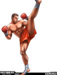  1boy abs bandages beard boxing boxing_gloves brown_hair facial_hair kicking male muscle ryu_(artist) shorts solo taqme 