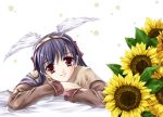  crossed_arms flower hairband head_tilt head_wings headband miyase_mahiro purple_hair ragnarok_online red_eyes smile sunflower wings 