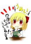  d-so eating food noodles rumia touhou translated 