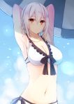  1girl bikini brown_eyes character_request noe_(mabue) original phantasy_star phantasy_star_online_2 short_hair silver_hair swimsuit 