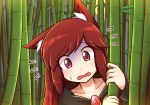  1girl animal_ears bamboo bamboo_forest blush brooch brown_hair commentary dress flying_sweatdrops forest imaizumi_kagerou jewelry long_hair long_sleeves looking_at_viewer nature open_mouth red_eyes solo touhou wolf_ears wool_(miwol) 