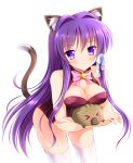  1girl animal_ears bangs bell bell_choker blush boar botan bow breast_press breasts cat_ears cat_tail choker clannad cleavage closed_mouth fujibayashi_kyou hair_ribbon highres kemonomimi_mode kittysuit lace leaning_forward leotard long_hair looking_at_viewer pig pink_bow purple_hair ribbon smile solo tail thigh-highs very_long_hair white_background white_bow white_legwear white_ribbon yagami-all_hail_nanao 