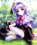 1girl :o absurdres angel_beats! bat_hair_ornament belka beret blurry blush boots bow cape company_connection cosplay cross-laced_footwear depth_of_field dog goto_p grass hair_ornament hat highres key_(company) little_busters!! long_hair noumi_kudryavka noumi_kudryavka_(cosplay) on_ground plaid plaid_skirt pleated_skirt scan school_uniform silver_hair sitting skirt strelka sunlight tachibana_kanade thigh-highs tongue tongue_out tree white_legwear yellow_eyes 