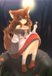  1girl akatsuki_no_guuru animal_ears autumn_leaves blush breasts brooch brown_hair cleavage dress full_moon highres imaizumi_kagerou jewelry leaf long_hair long_sleeves moon red_eyes rock sitting sitting_on_rock smile solo tail touhou tree wolf_ears wolf_tail 