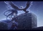  1boy armor artist_request axis_powers_hetalia bird black_hair cape china_(hetalia) eagle great_wall_of_china headgear long_hair red_eyes snow solo 