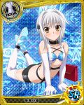  1girl ass bikini_top breasts card_(medium) cat_hair_ornament character_name elbow_gloves gloves hair_ornament high_school_dxd looking_at_viewer rook_(chess) silver_hair solo thigh-highs toujou_koneko under_boob white_legwear yellow_eyes 