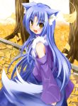  1girl animal_ears autumn_leaves blue_hair blush casual detached_sleeves leaf long_hair looking_at_viewer looking_back open_mouth original solo tachi_yure tail tree wolf_ears wolf_tail yellow_eyes 