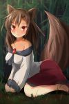  1girl animal_ears bare_shoulders blush brooch brown_hair dress imaizumi_kagerou jewelry long_hair looking_at_viewer off_shoulder red_eyes revision shirt sitting skirt solo tail tendo touhou wariza werewolf wolf_ears wolf_tail 