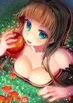  1girl apple bangs blue_eyes blunt_bangs breasts brown_hair food fruit highres long_hair looking_at_viewer mushroom original revision smile solo suzune_rai 