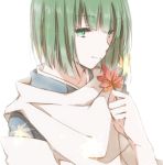  1boy green_eyes green_hair haku hiro_(hirohiro31) sen_to_chihiro_no_kamikakushi solo 